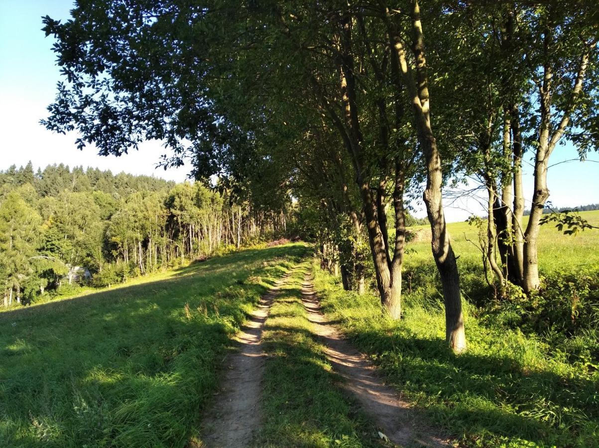 Villa Celoroční GLAMPING v pohodlném domečku Výprachtice Exterior foto